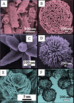 Gas Sensing Performances of ZnO Hierarchical Structures for Detecting Dissolved Gases in Transformer Oil: A Mini Review